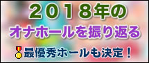 2018年のオナホールを振り返る