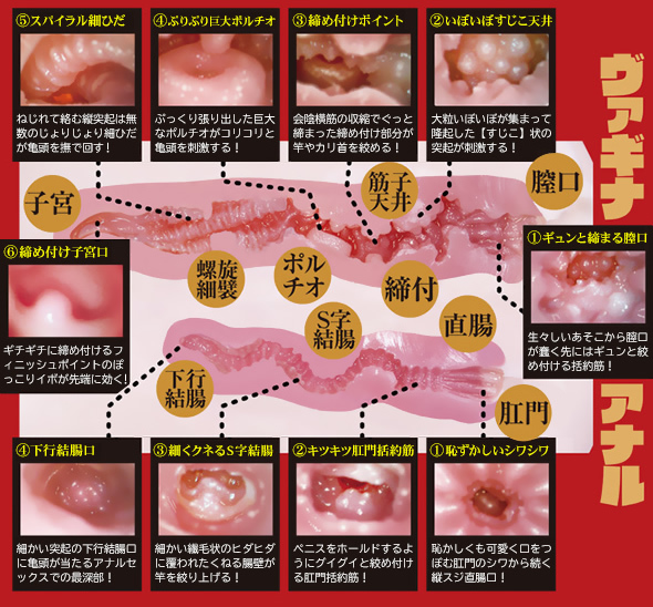 パッケージ画像2