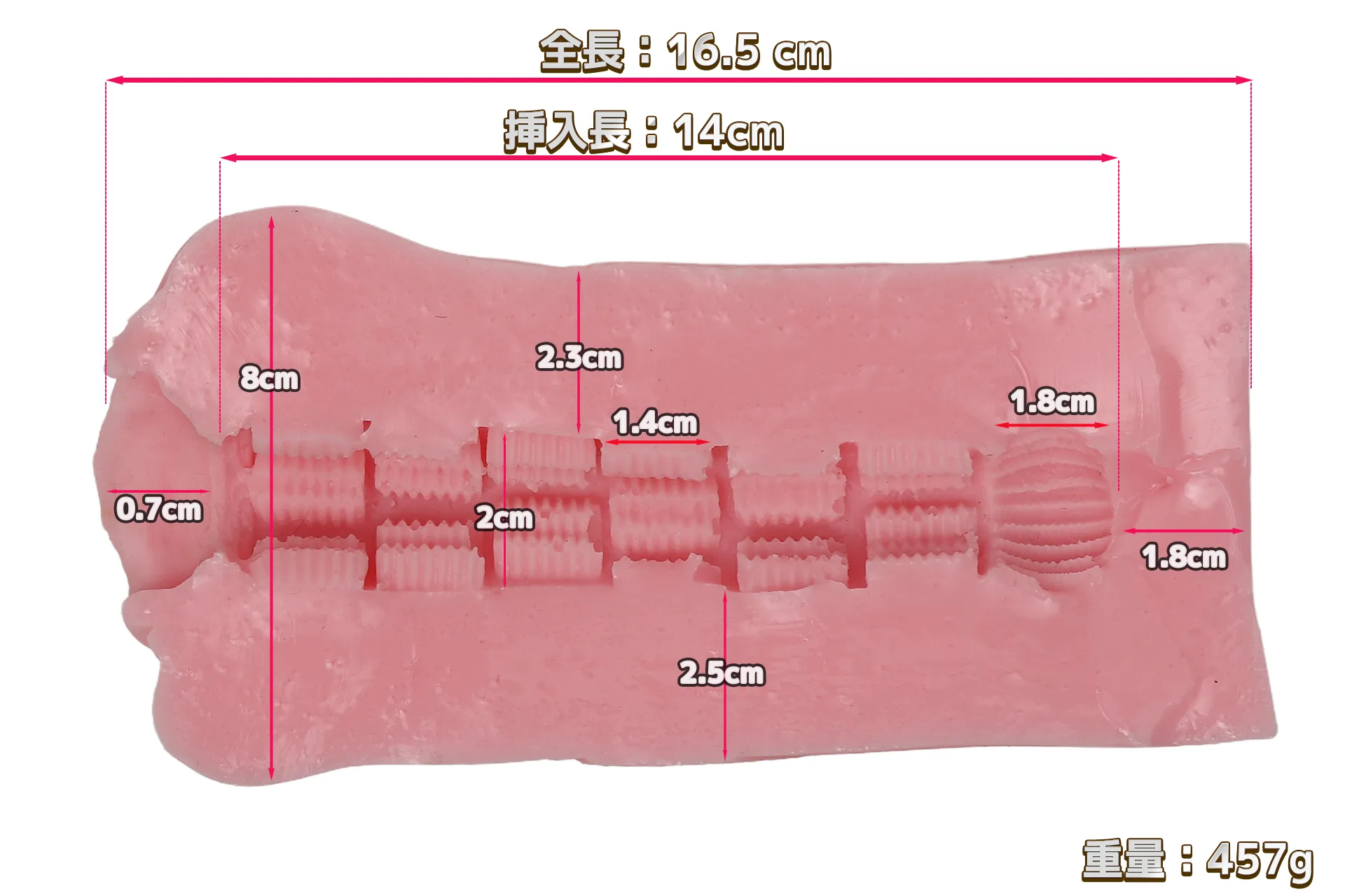 ももわれの断面図