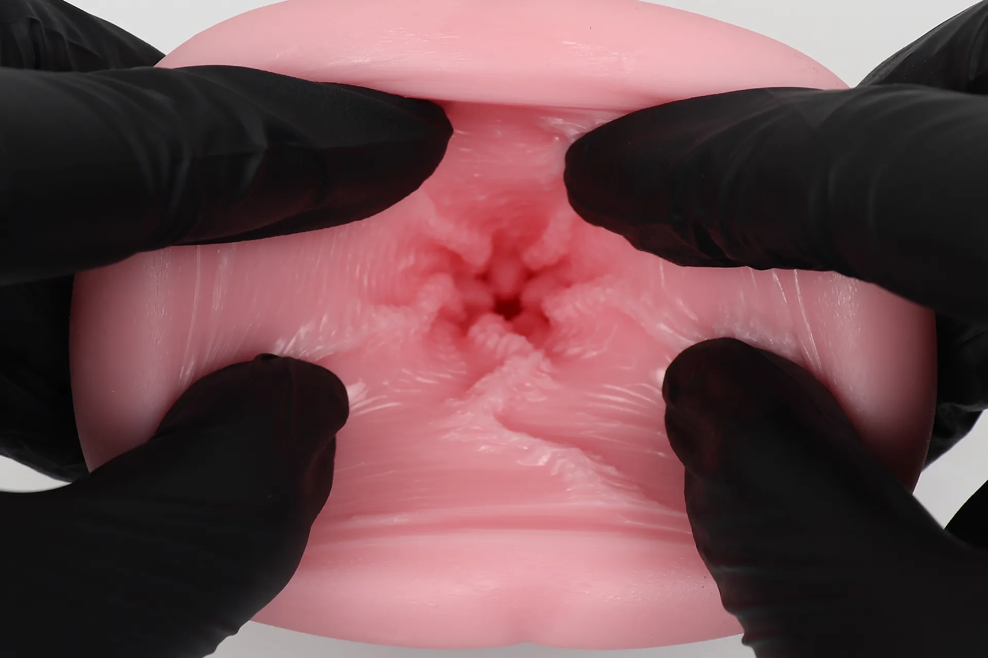 内部を覗いてみる